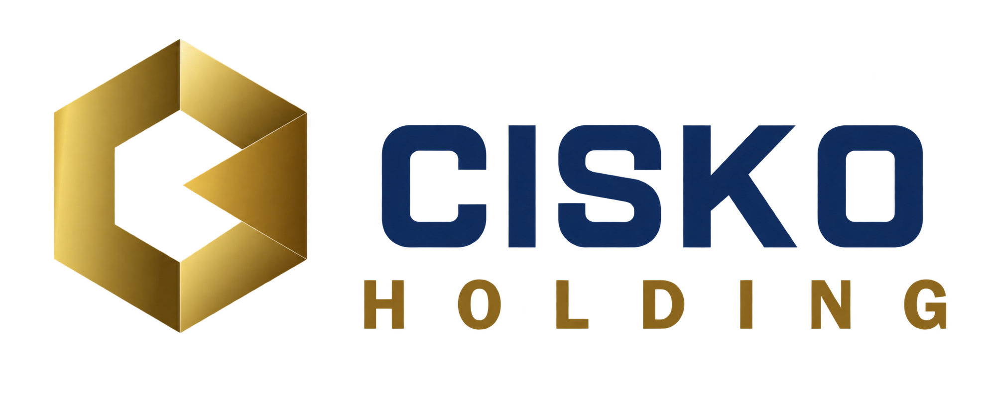 CISKO HOLDING